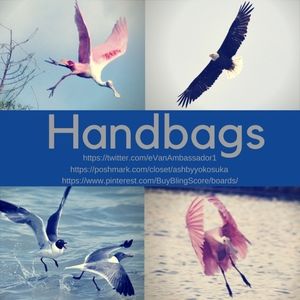 Handbags, Purses